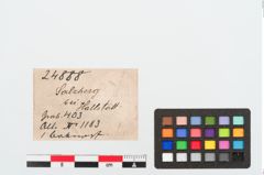 Etiketten zu Bronzeknopf (NHMW-PRAE-024888)